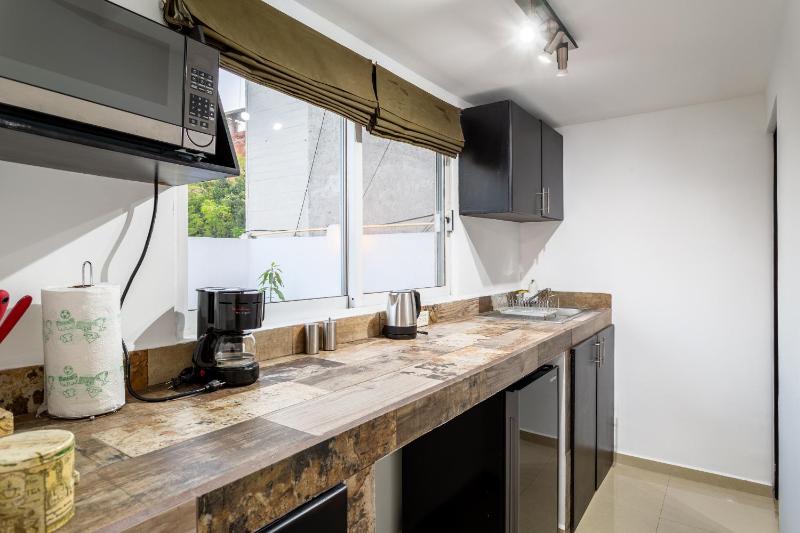 Suites 259 Condesa - image 5