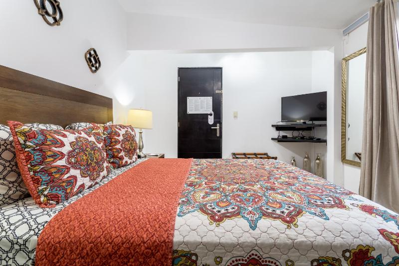 Suites 259 Condesa - image 20