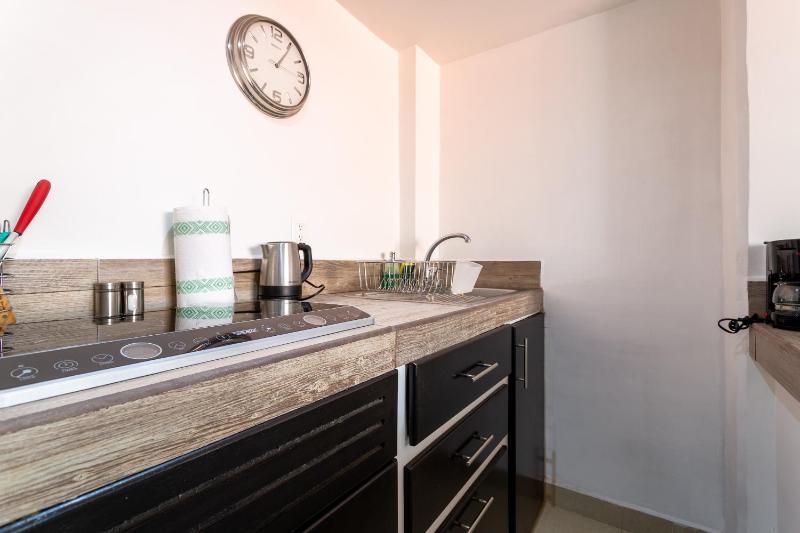 Suites 259 Condesa - image 8