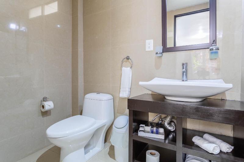 Suites 259 Condesa - image 17