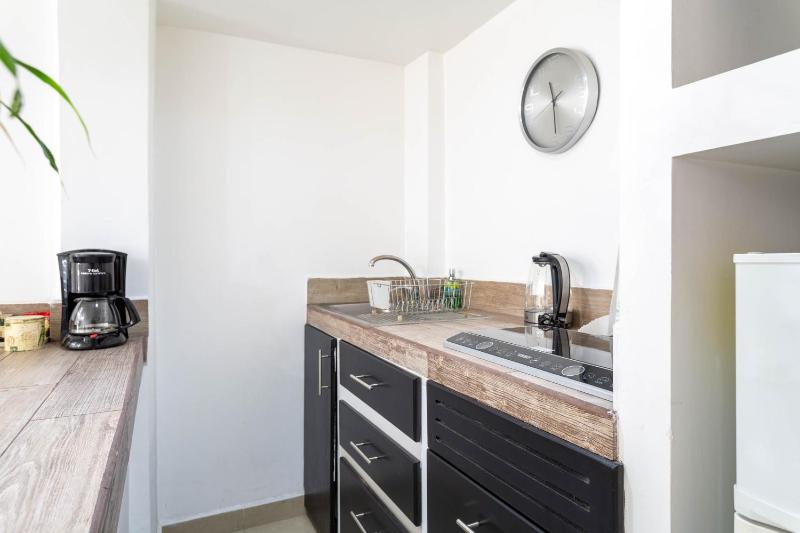 Suites 259 Condesa - image 14