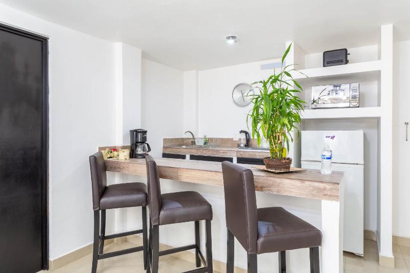 Suites 259 Condesa - image 38