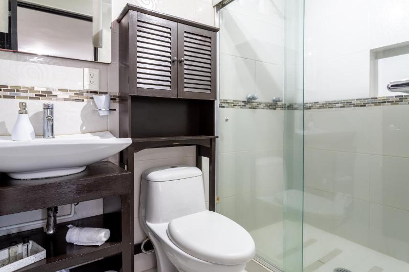 Suites 259 Condesa - image 44