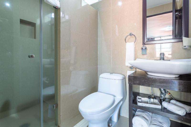 Suites 259 Condesa - image 28