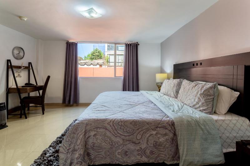 Suites 259 Condesa - image 40