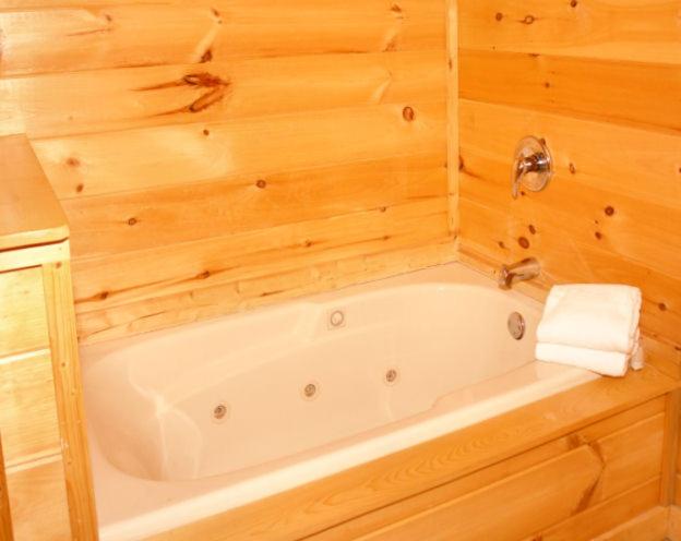 Honey Bear Hideaway - image 5
