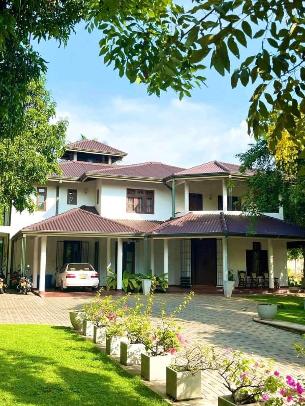 Golden Residence - image 31