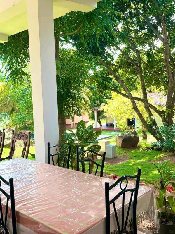 Golden Residence - image 6
