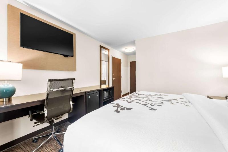 Standard Queen Room - Non-Smoking image 1