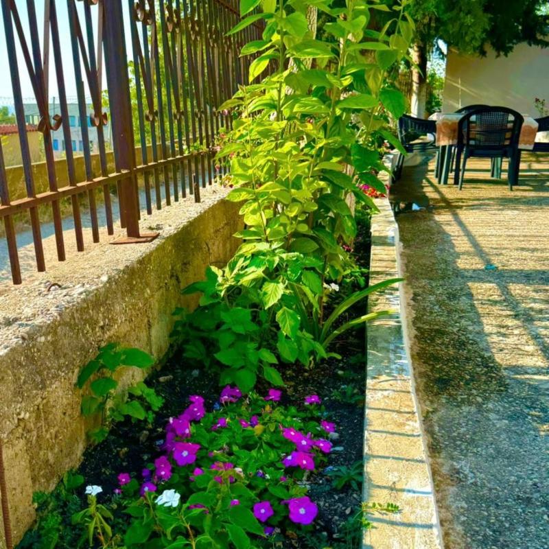 Valona Apartments - image 15