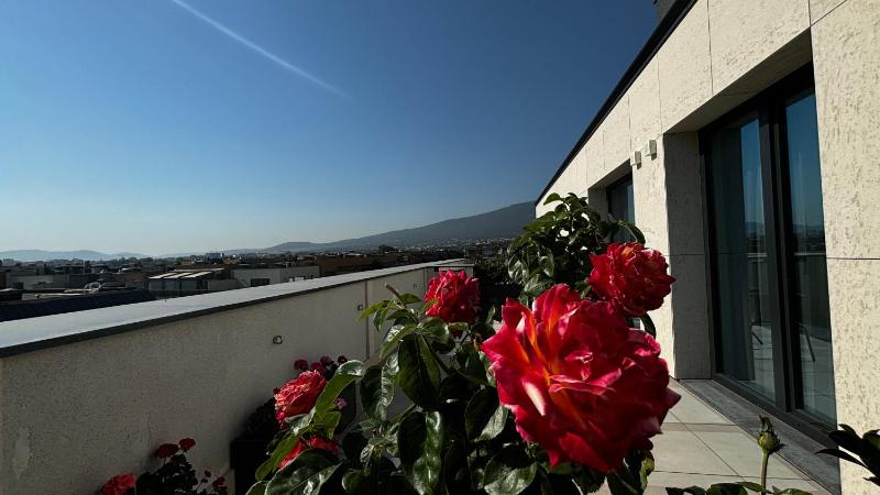 Blue Star Luxury Hotel - image 10
