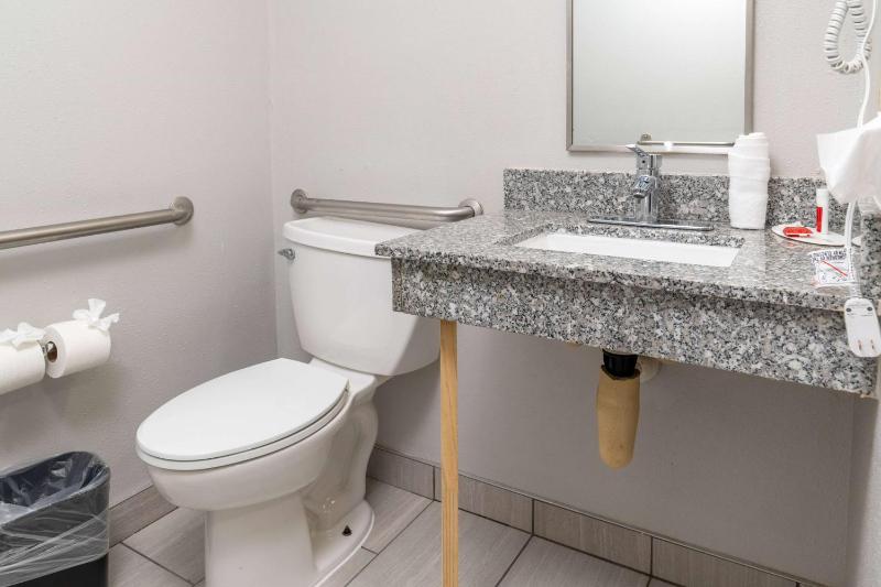 King Studio Suite - Mobility Access/Non-Smoking image 4