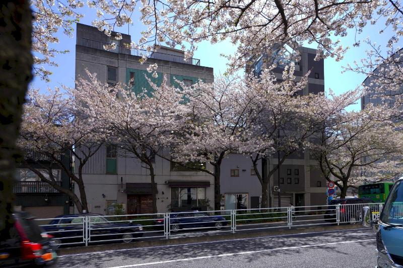 Penthouse 1-bedroom flat in Hiroo Shibuya - image 16