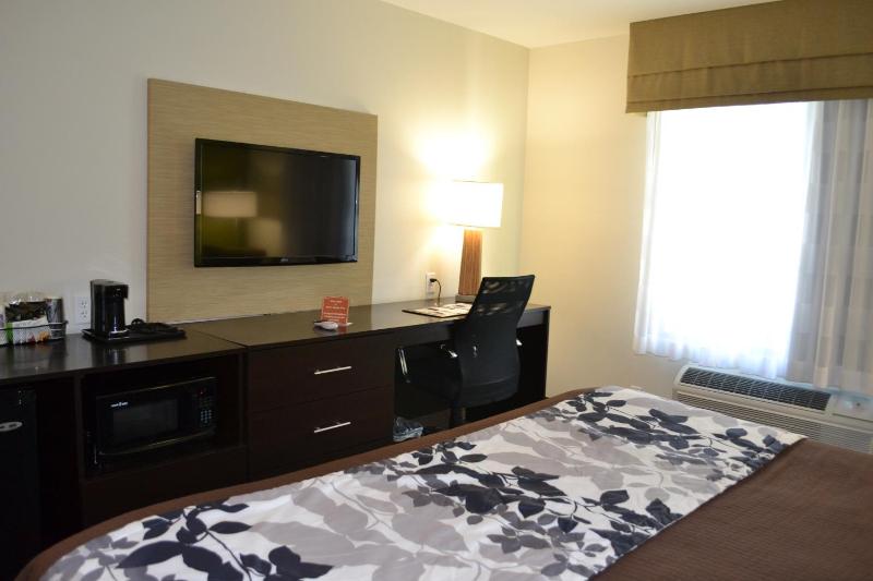 King Room - Non-Smoking image 2