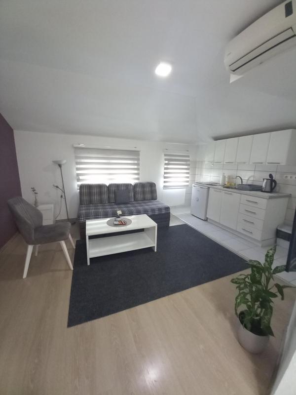 One-Bedroom Apartment image 4
