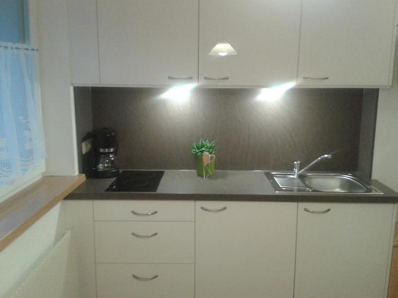 One-Bedroom Apartment with Garden image 3