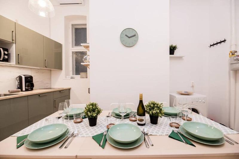 Brand NEW central AC apartment - image 3