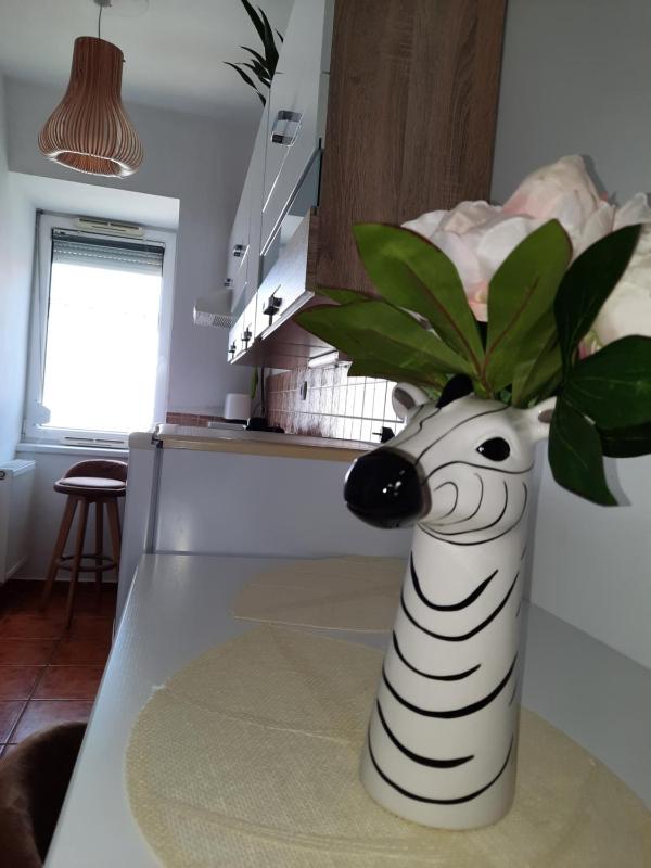Zöld Béka Apartmanok Kölcsey II - image 18