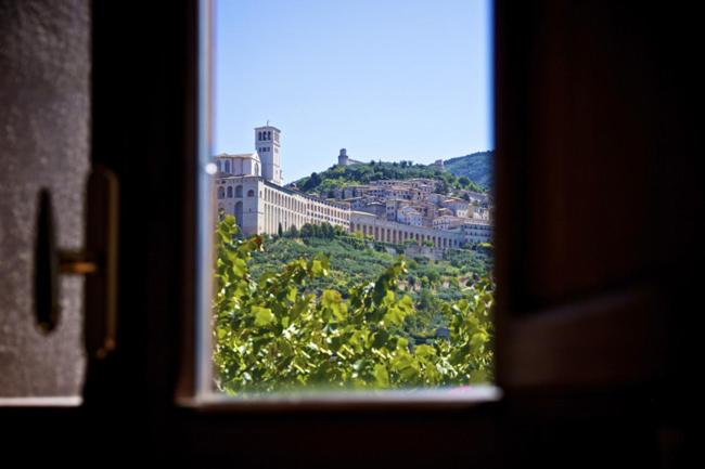 Country House Carfagna - image 12
