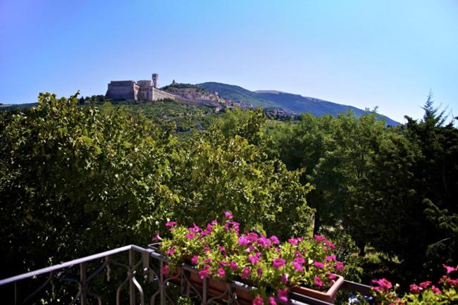 Country House Carfagna - image 9