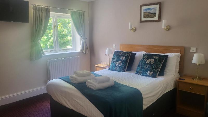 Superior Double Room image 4
