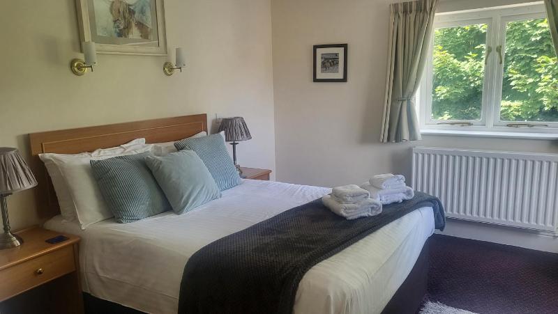 Superior Double Room image 2