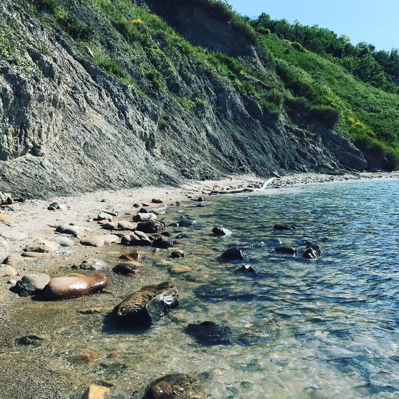 Standard Apartment image 1