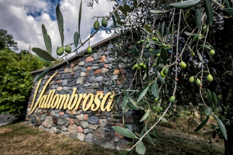 Wine & Art Relais Vallombrosa - image 30