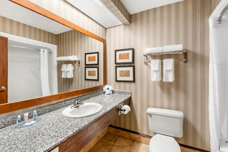 King Suite - Non Smoking image 4