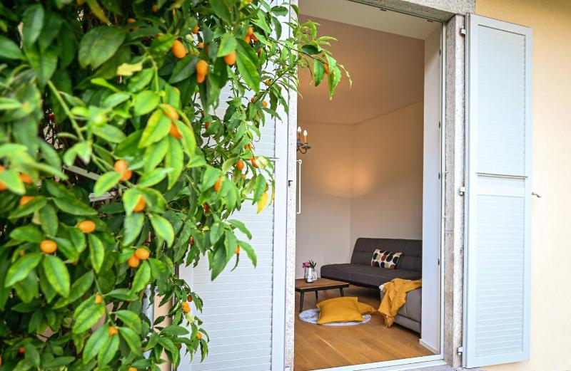 Luxury Central Suite Garden in Lugano - image 15