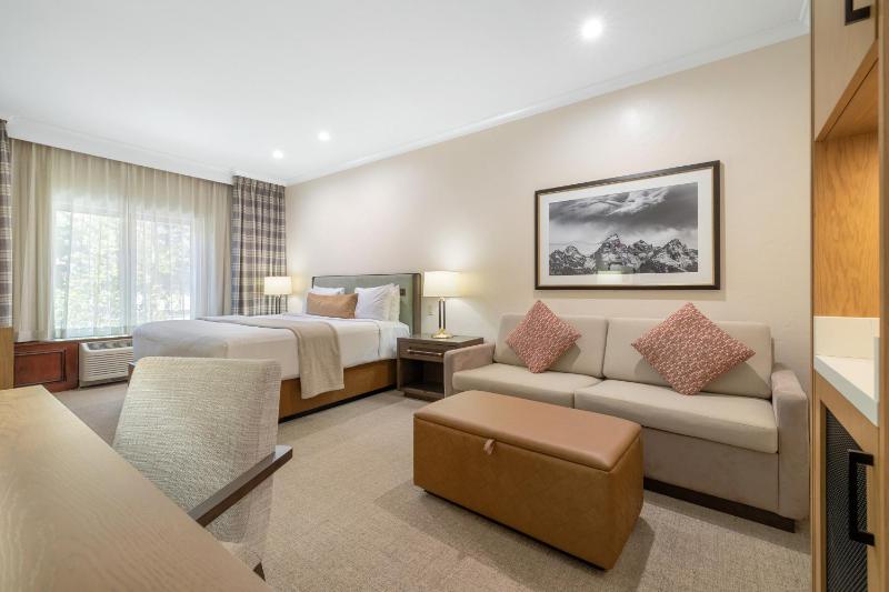 Premier King Guestroom image 3