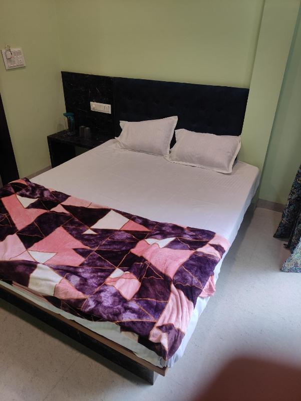 Radha Shree Home Stay - image 11