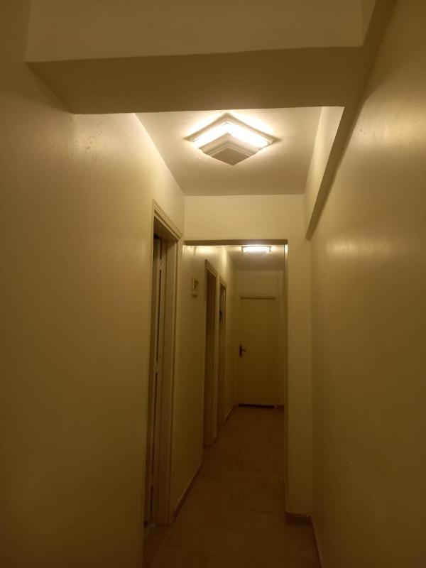 Panda House - image 2