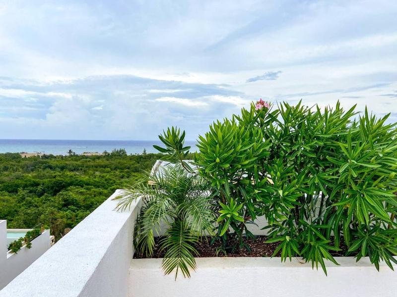 XKAA - Best Studio at 5th Ave with Pool Gym Steps to Beach - image 29