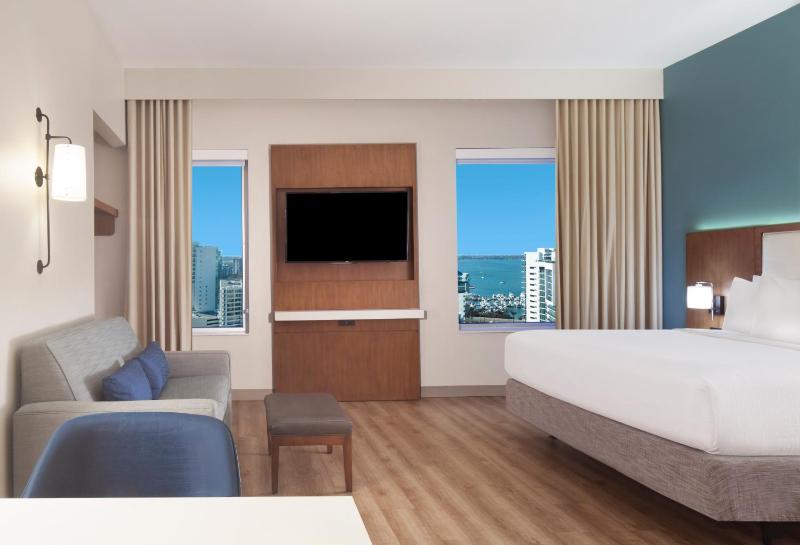 King Studio Suite image 3