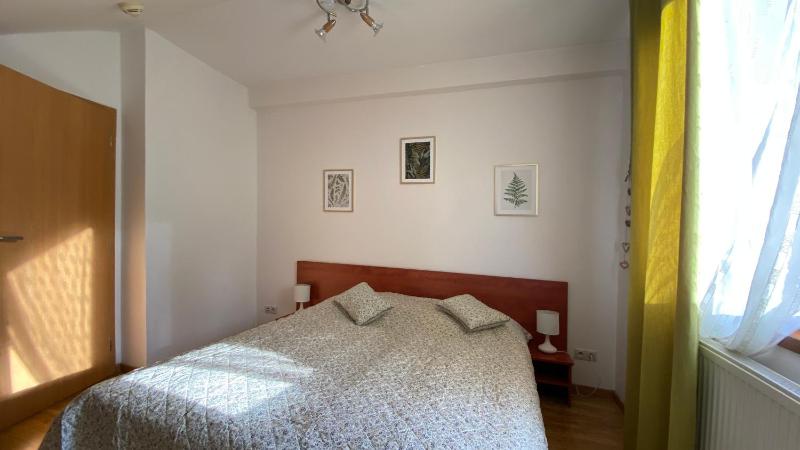 One-Bedroom Apartment with Mountain View - Attic image 4