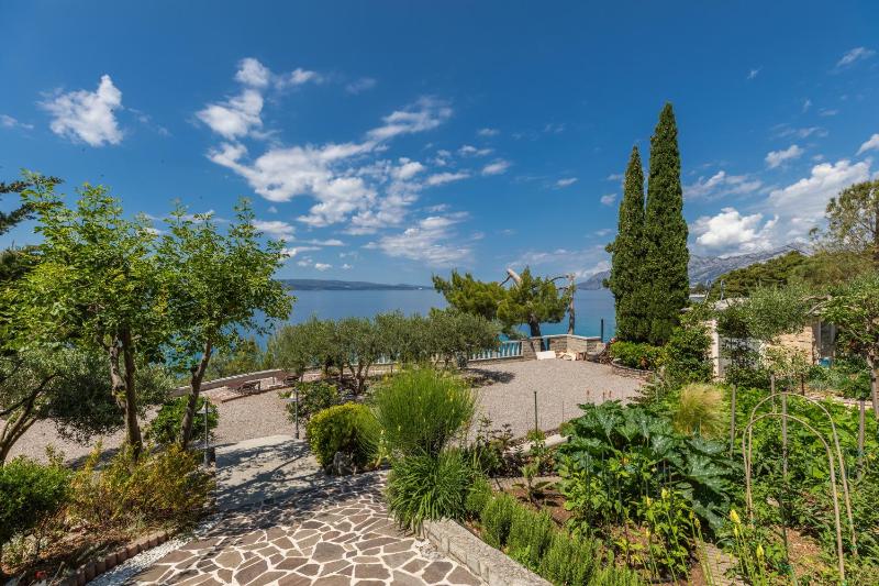 Apartments by the sea Brela Makarska - 20708 - image 15