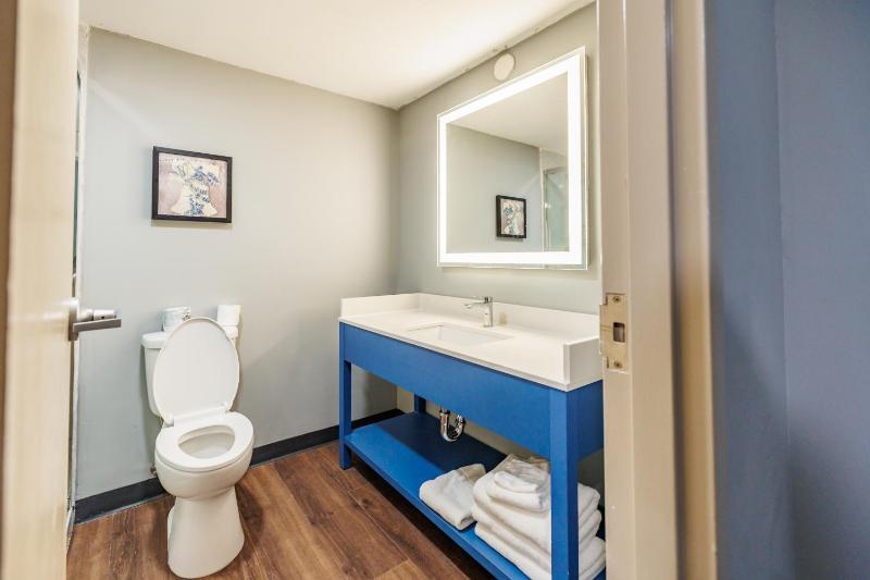 King Room - Non-Smoking image 4