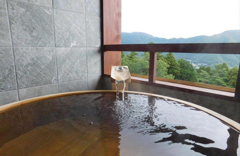 Hakone Kyuan - image 2