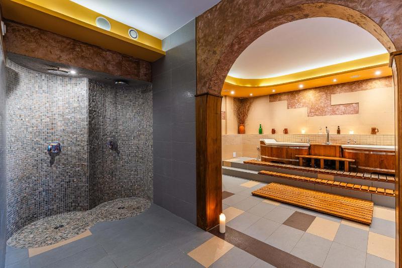 Hotel Dziki Potok Karpacz - image 33