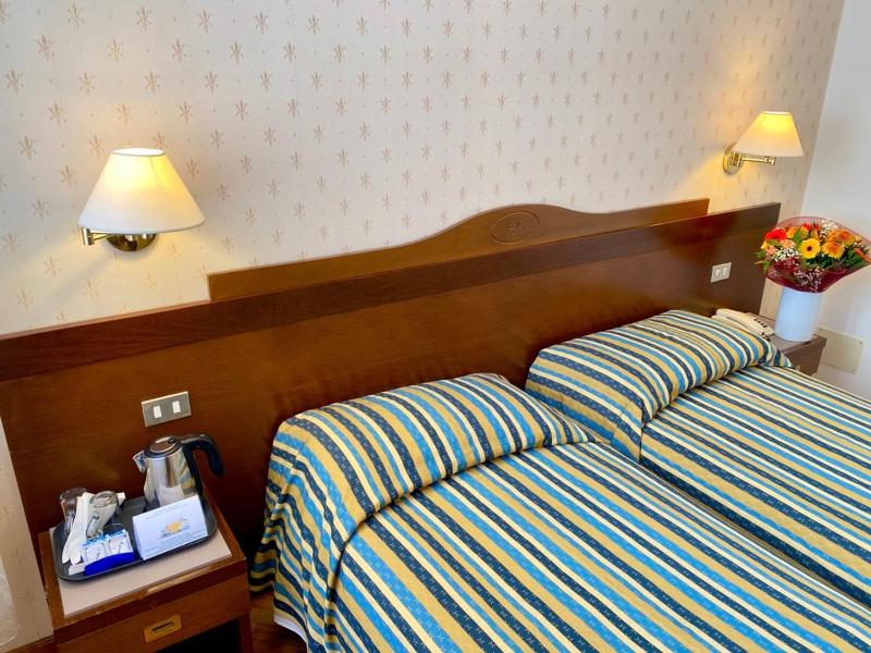 Classic Twin Room image 2
