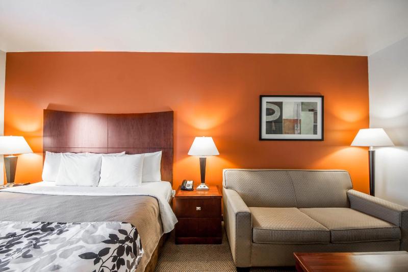 King Suite - Non-Smoking image 3