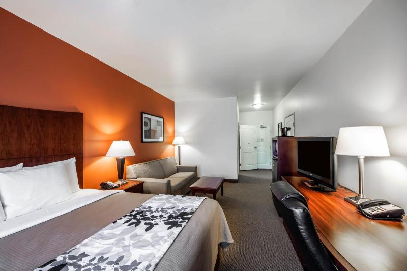 King Suite - Non-Smoking image 4