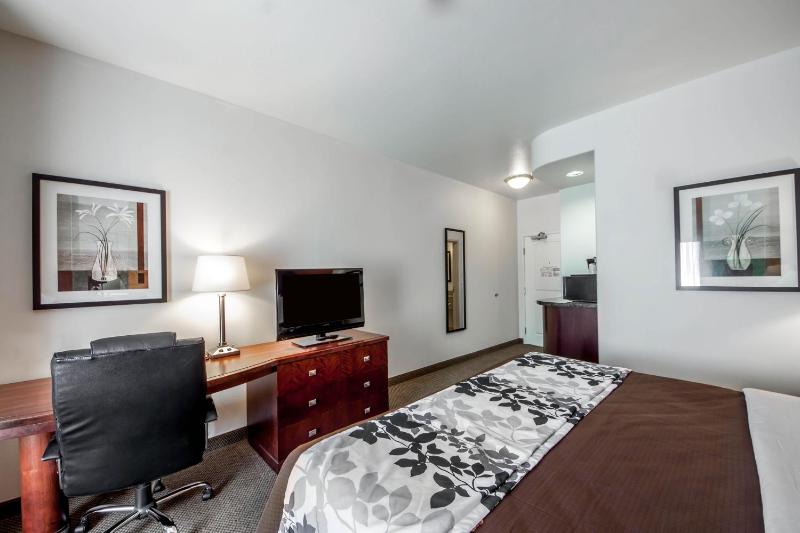 King Room - Non-Smoking image 3
