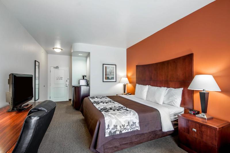 King Room - Non-Smoking image 4