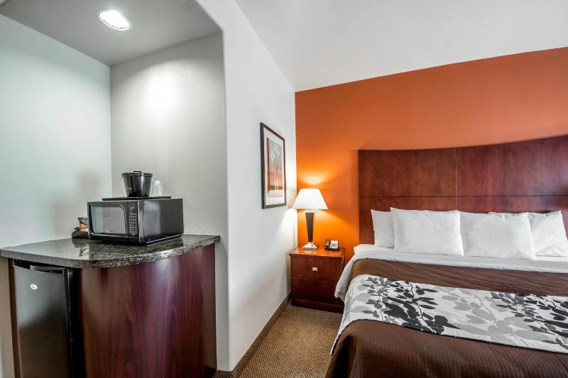 King Room - Non-Smoking image 2