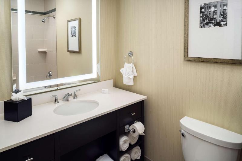 Embassy Suites by Hilton St. Louis Downtown - image 13