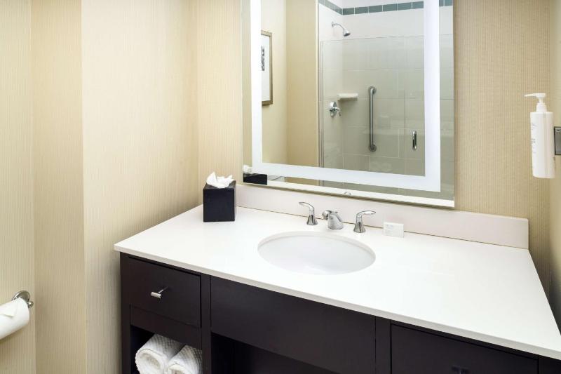 Embassy Suites by Hilton St. Louis Downtown - image 7