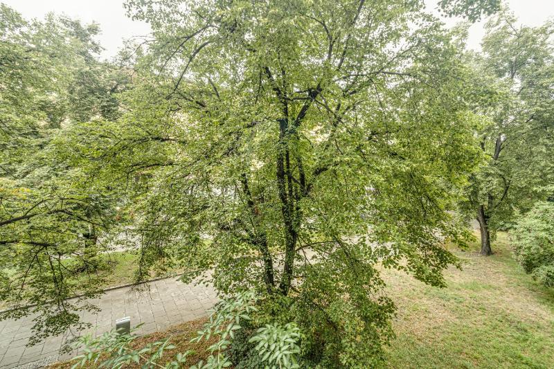 RentPlanet - Apartament Kościuszki - image 19