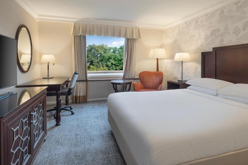 Deluxe Double Room image 4